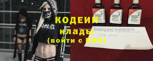 соль ск Дмитровск